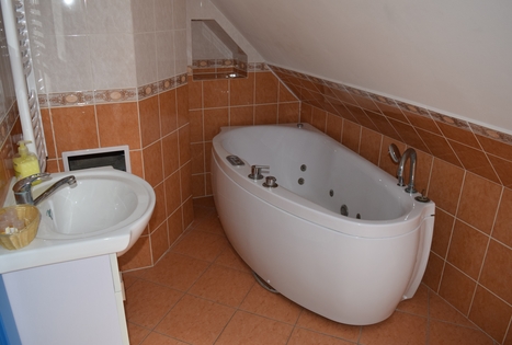 "Auksinio elnio dvaras"