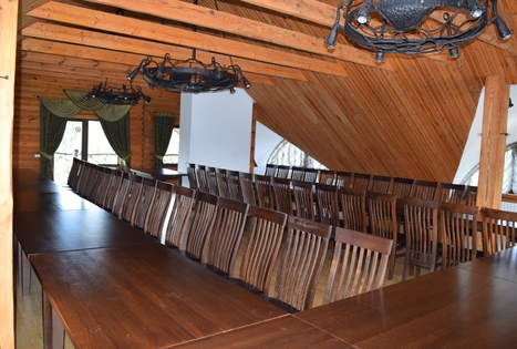 "Auksinio elnio dvaras"