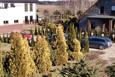 Sodyba „Glorija“