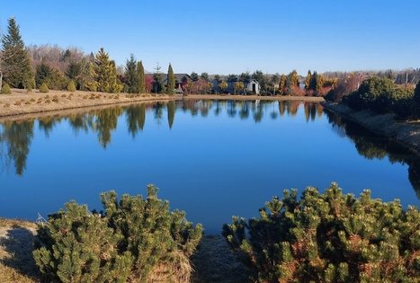 Sodyba „Glorija“