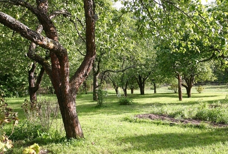 Sodyba Margionių kaime