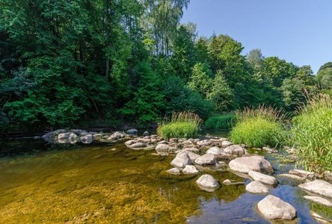 Sodyba „Žemsuodos kaimelis“