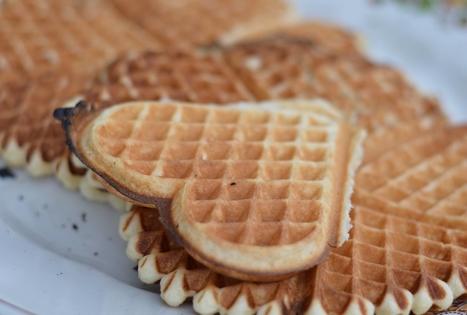 Račkauskai Homestead "Agluona"