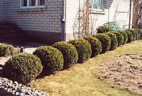 Tytuvenai church and convent ensemble