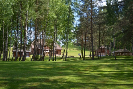 Homestead "Tundra"
