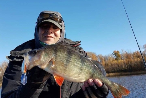 Sodyba „Čičiriai“