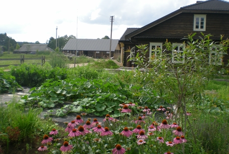 Homestead "Senosios Gegužinės ūkis"