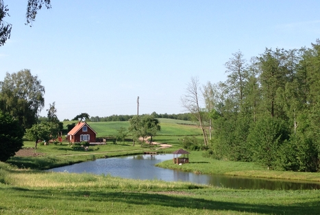 Homestead "Audros vienkiemis"