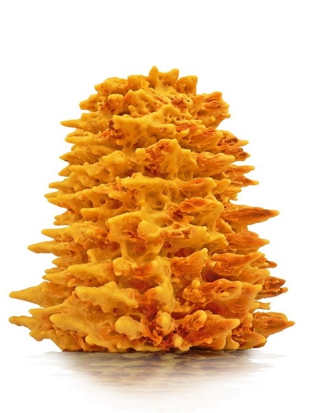 „L. Sadauskienės šakočiai“