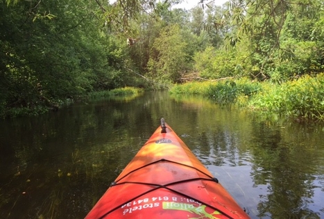 Sodyba „Žalioji stotelė“