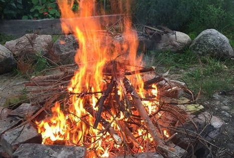 Sodyba „Žalioji stotelė“