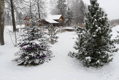 Homestead "Raudonkalnis"