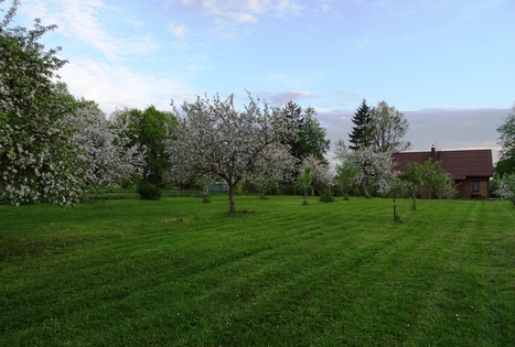 Homestead "Raudonkalnis"