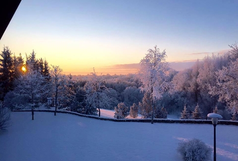 Sodyba „Medžiotojų sostinė“