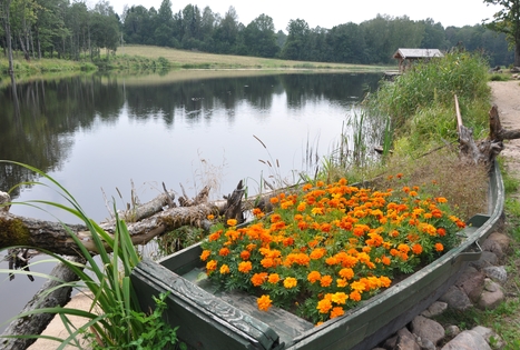 Homestead "Angelų malūnas"