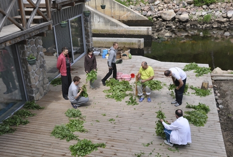Homestead "Angelų malūnas"