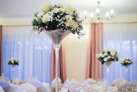 Homestead "Pas bitininką"