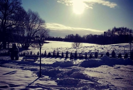 Homestead "Pas bitininką"