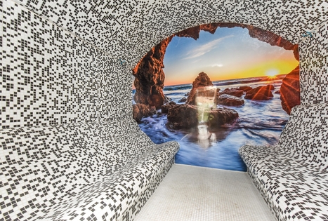 Homestead "Pas bitininką"