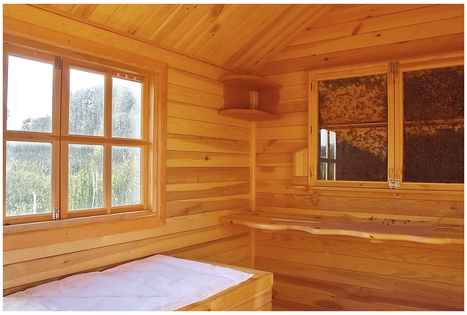 Homestead "Pas bitininką"