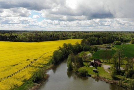 Skerdūmės sodyba