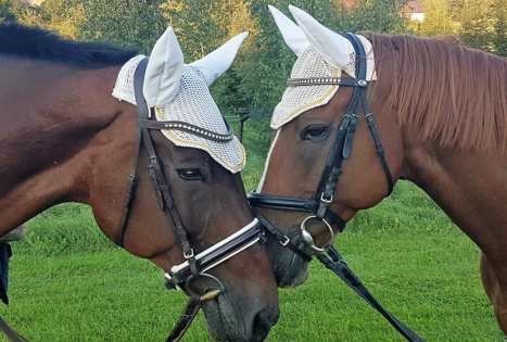 Jodinėjimas gamtoje!