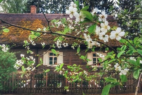 Kleboniskis village household museum