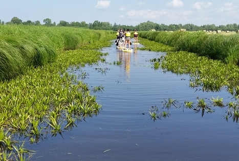 Vietinis kelionių organizatorius „Upaitė“