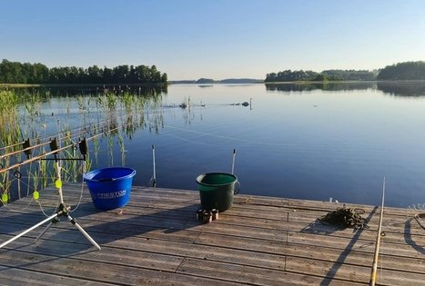 Dainiaus Spirikavičiaus sodyba
