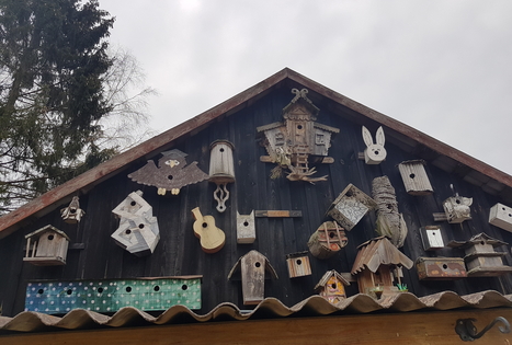 Homestead "Bertašiūnų vienkiemis"