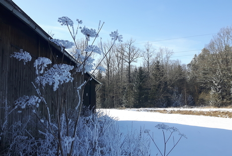Kemperių stovyklavietė „Pajiešmeniai“