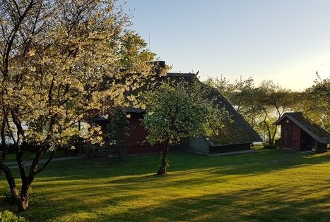 Sodyba „Pas tėvukus“