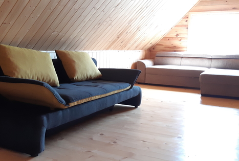 Homestead of Nijolė and Henrikas Zubrickiai 