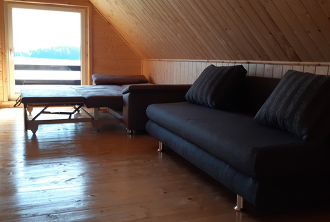 Homestead of Nijolė and Henrikas Zubrickiai 