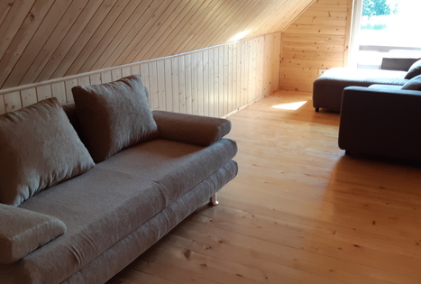 Homestead of Nijolė and Henrikas Zubrickiai 