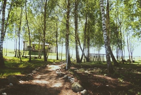 Sodyba „Meda house“