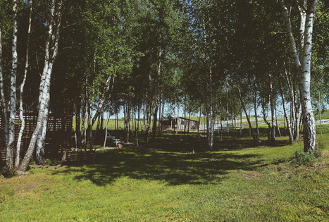 Sodyba „Meda house“