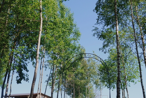 Sodyba „Meda house“