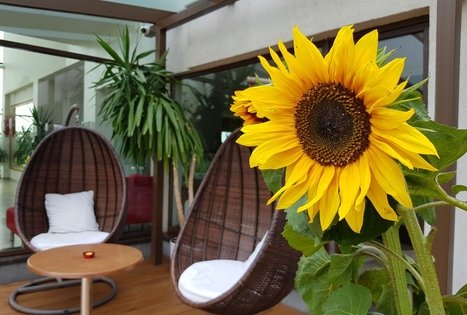 "Grįžulo ratai" residence