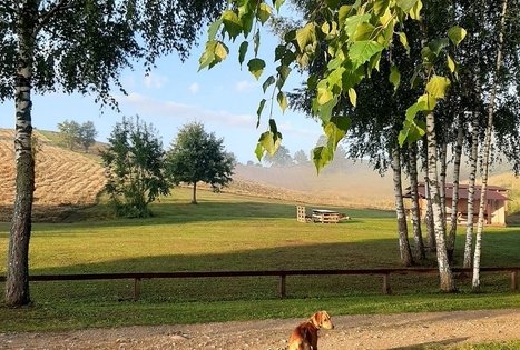 Campsite "Daugirdėnai"