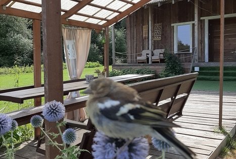 Campsite "Daugirdėnai"