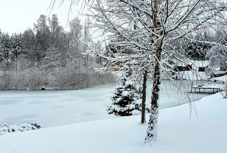 Homestead of Nijolė and Henrikas Zubrickiai 