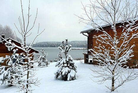 Homestead of Nijolė and Henrikas Zubrickiai 
