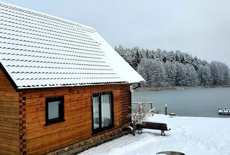 Homestead of Nijolė and Henrikas Zubrickiai 