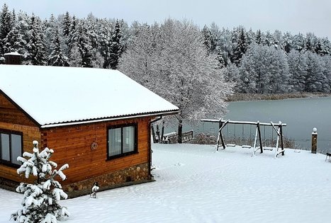 Homestead of Nijolė and Henrikas Zubrickiai 
