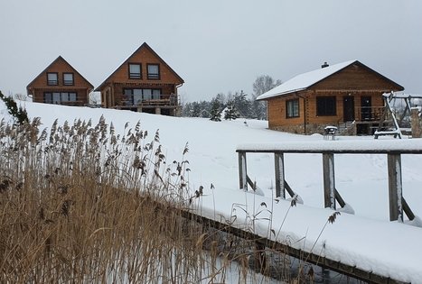 Homestead of Nijolė and Henrikas Zubrickiai 