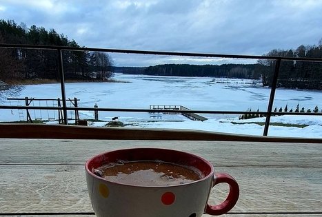 Homestead of Nijolė and Henrikas Zubrickiai 