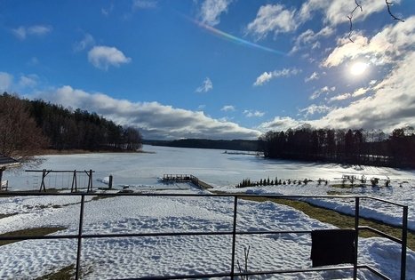 Homestead of Nijolė and Henrikas Zubrickiai 