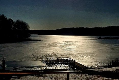 Homestead of Nijolė and Henrikas Zubrickiai 
