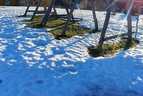 Homestead of Nijolė and Henrikas Zubrickiai 